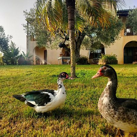 La Finestra Sul Limone Acomodação com café da manhã Castelvetrano Exterior foto