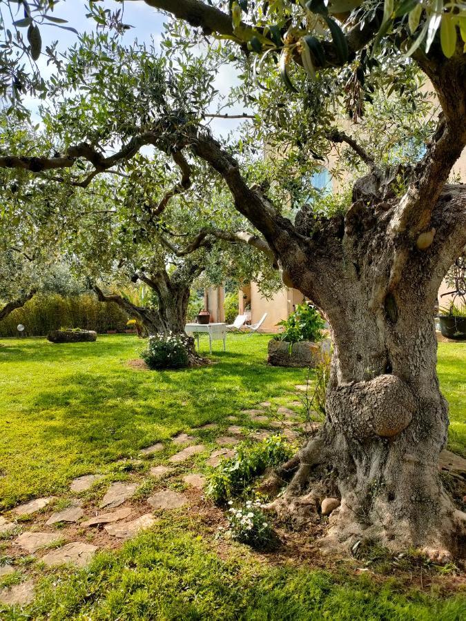 La Finestra Sul Limone Acomodação com café da manhã Castelvetrano Exterior foto