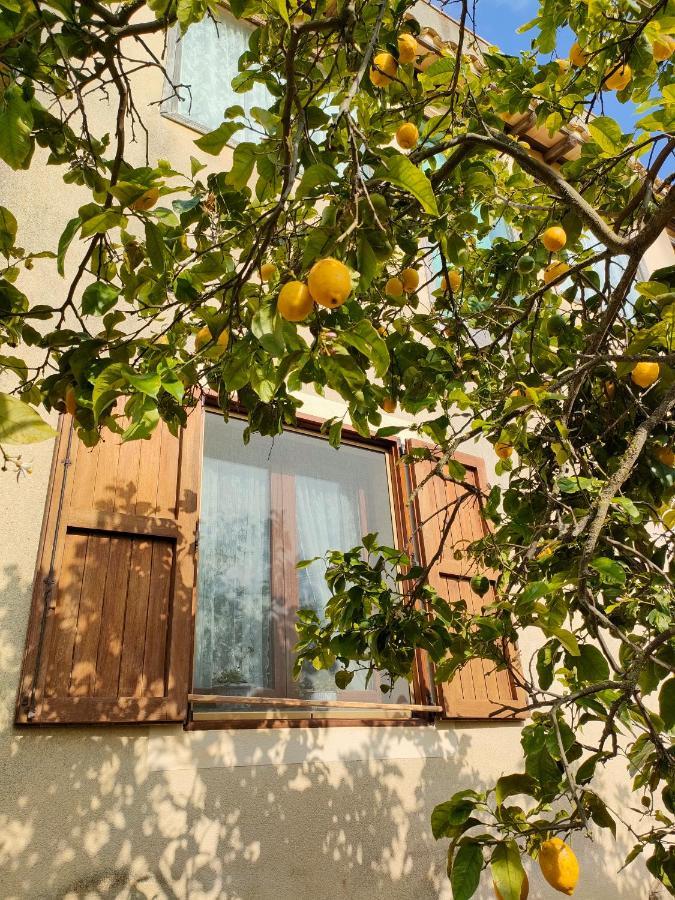 La Finestra Sul Limone Acomodação com café da manhã Castelvetrano Exterior foto